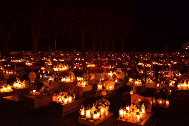 DSC_0078o