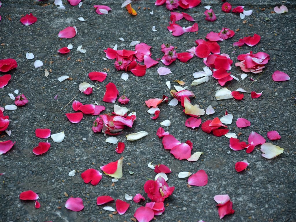 DSC_0151